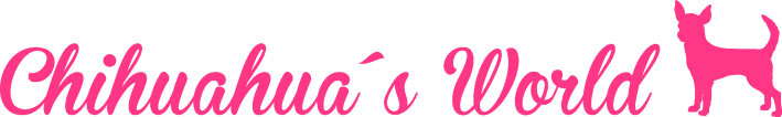 Chiworld_header